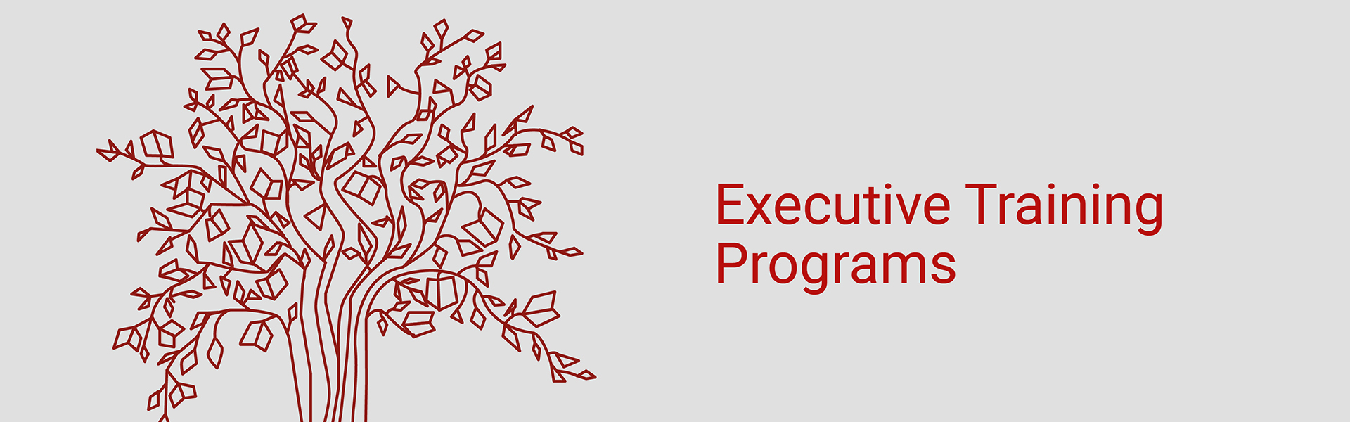 executive-training-programs